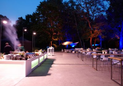 Hof, Garten, Park, Parklätze, Wiese, Wasser, Insel, Außenbereich, individuelle Bestuhlung, Bar, Catering, Get together